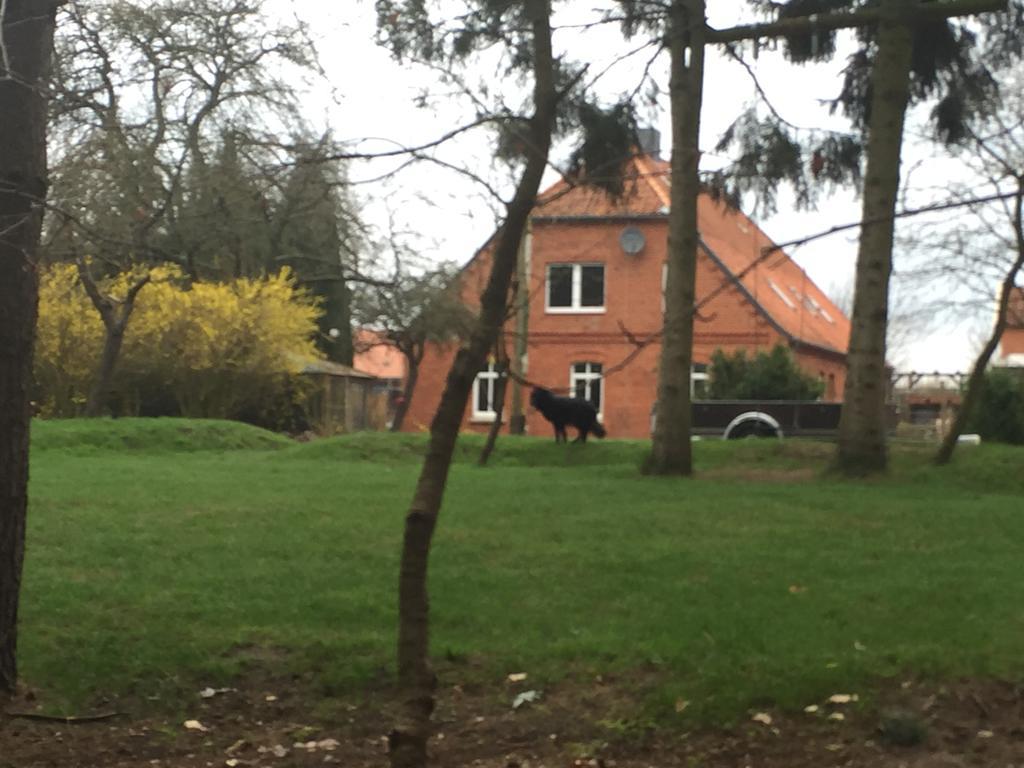 Ferienwohnung Garten Eben Rullstorf Dış mekan fotoğraf
